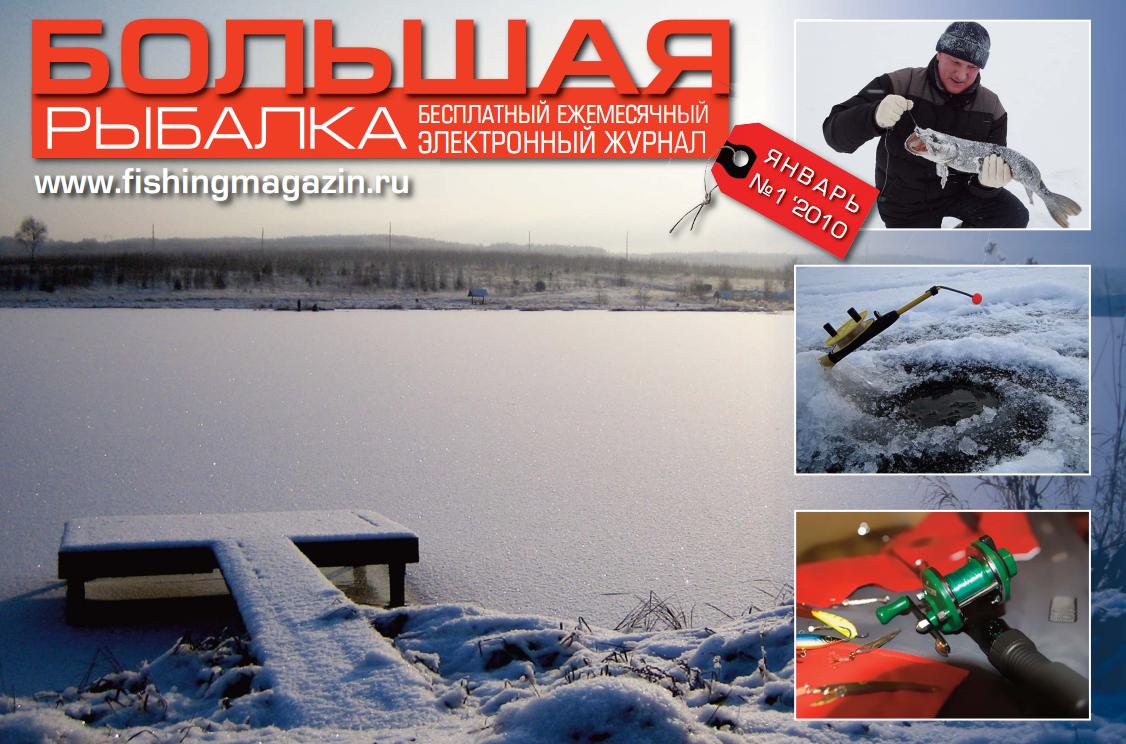 Январь (2010)